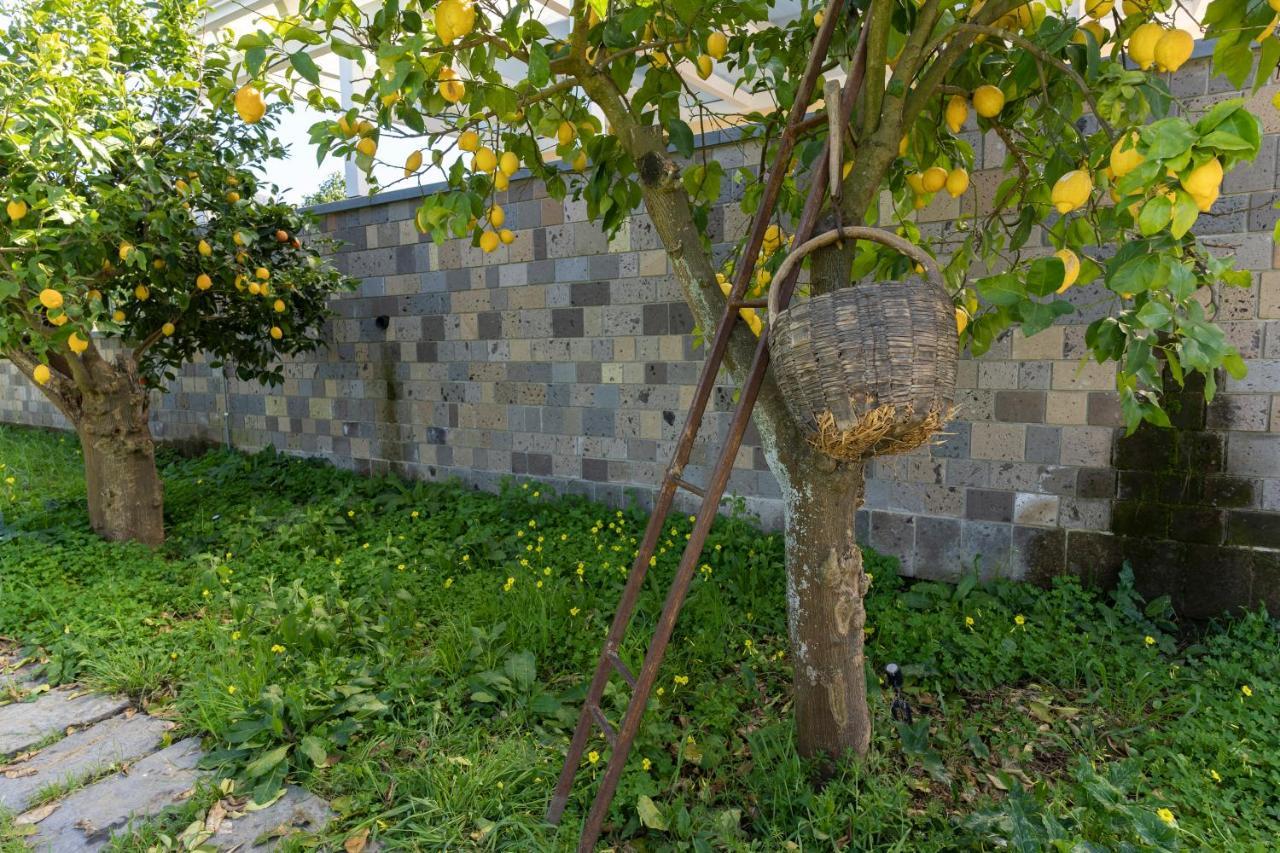 Alloggio per agriturismo Tenuta Di Leva *