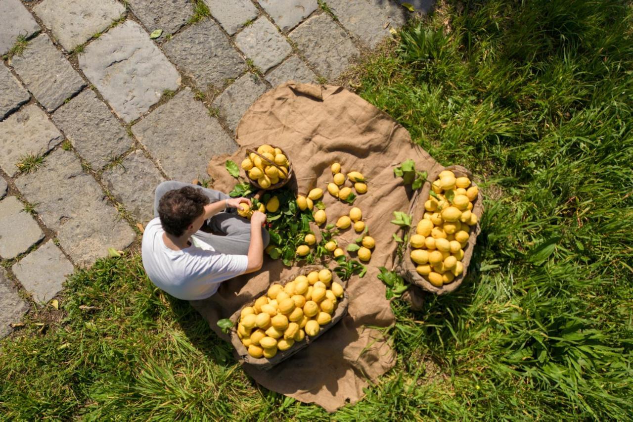 Tenuta Di Leva Farm stay