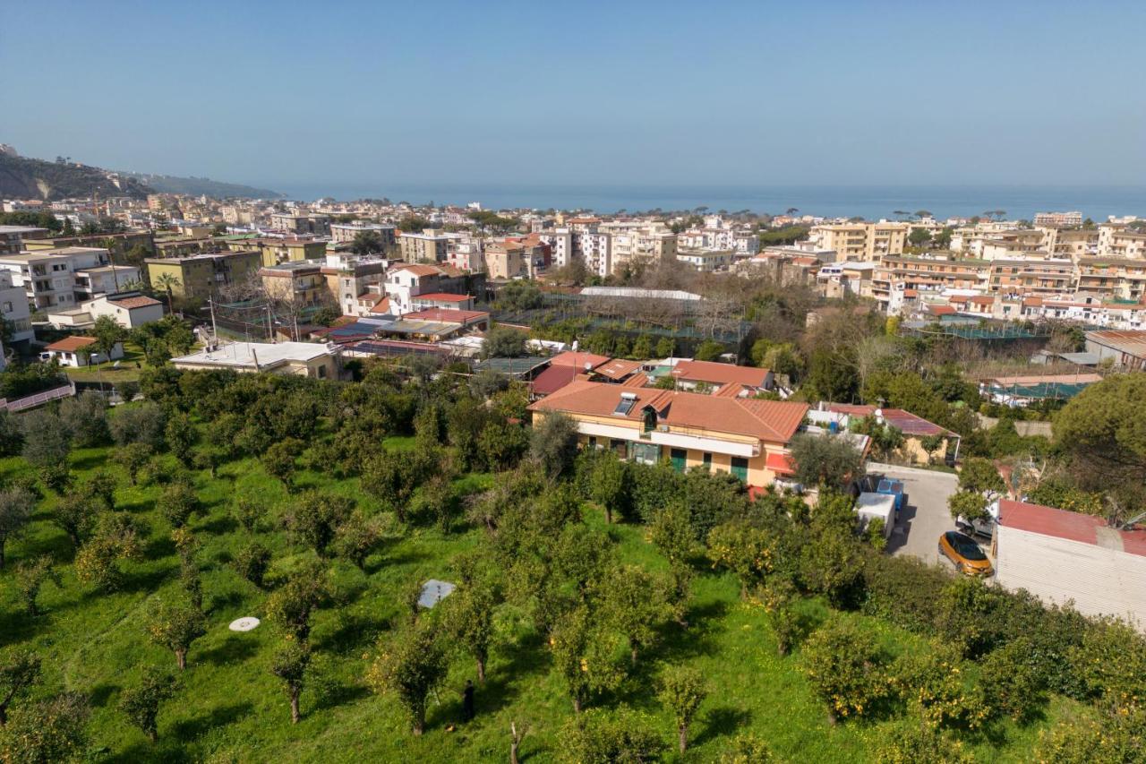 Farm stay Tenuta Di Leva Piano di Sorrento